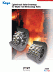CATALOGUE Cylindrical Roller Bearings for Multiroll Mill Backup Rolls catb2012ex