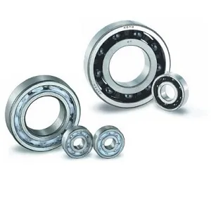 PRODUCTS Exsev exsev_ceramics_bearing1